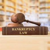 Turning Crisis into Comeback: A Strategic Insight into Bankruptcy and Insolvency Laws